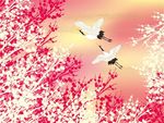 粉色花纹背景