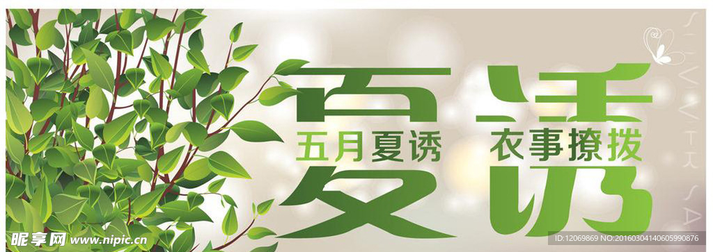 五月夏诱