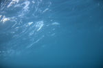济州岛海底景观