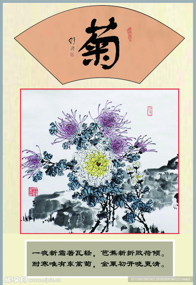 菊花展板