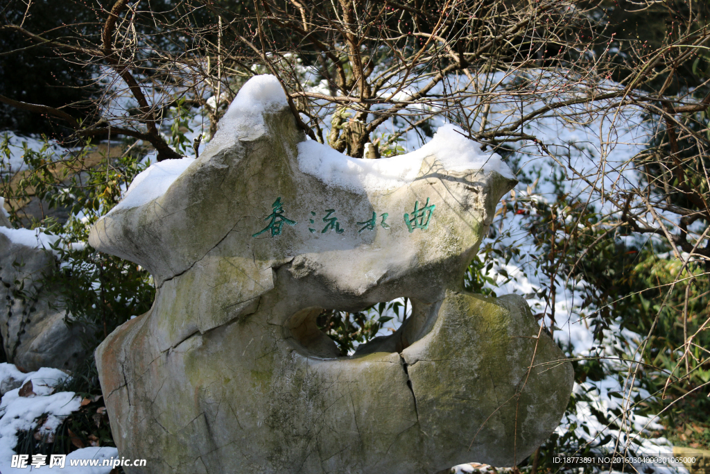 梅树与石头