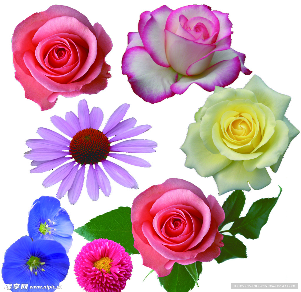 花