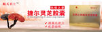 产品介绍