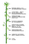 公司发展历程