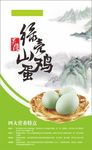 绿壳山鸡蛋