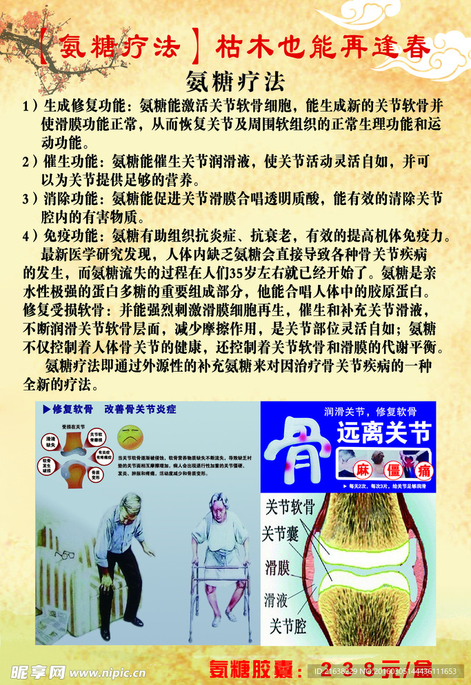 氨糖疗法