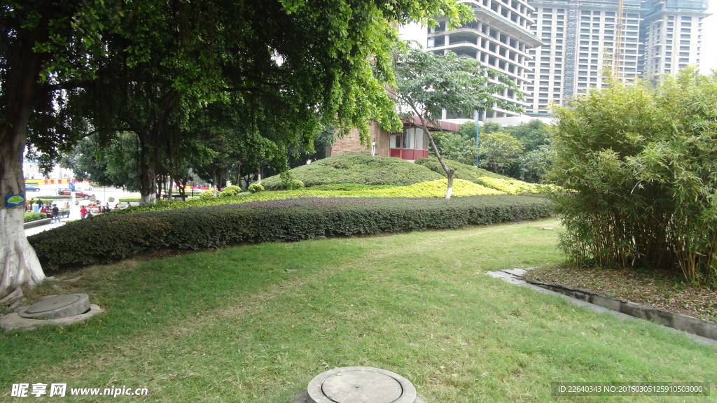 公园草地