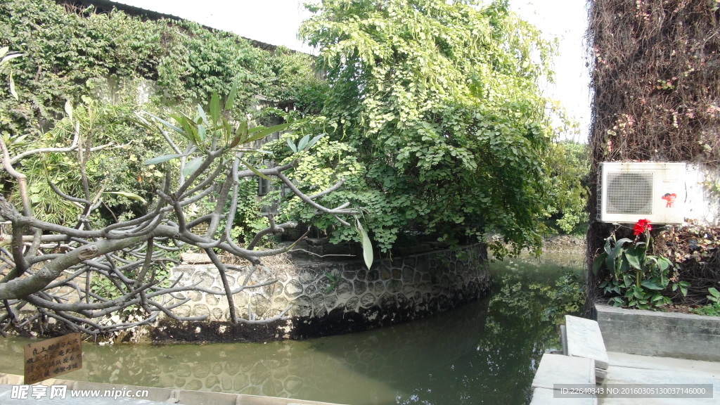 河边风光