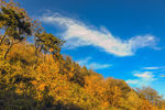 香山景区