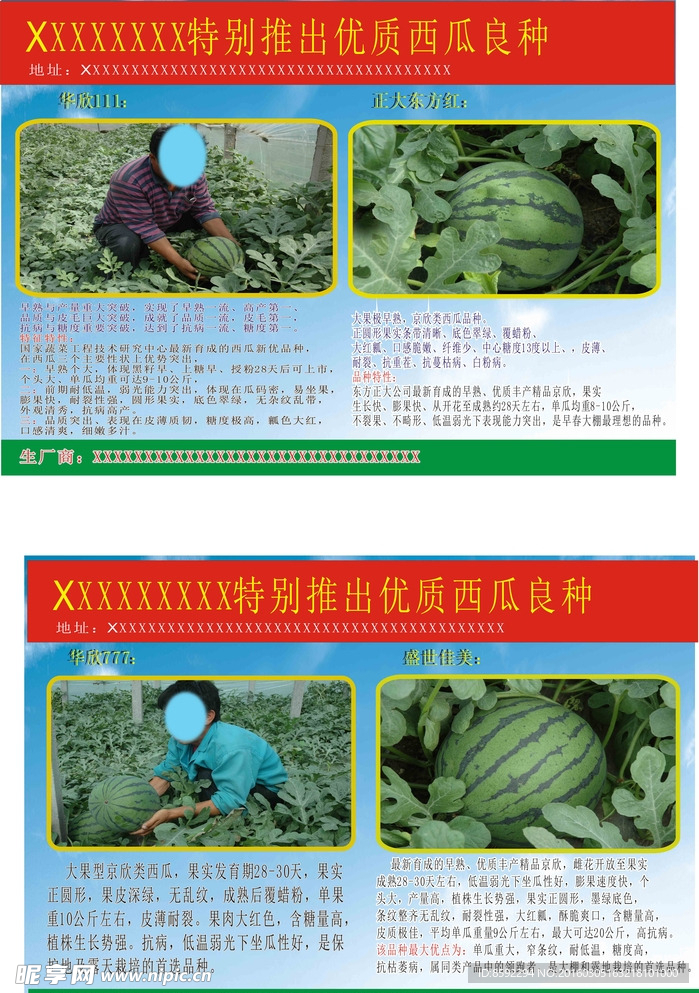 西瓜良种