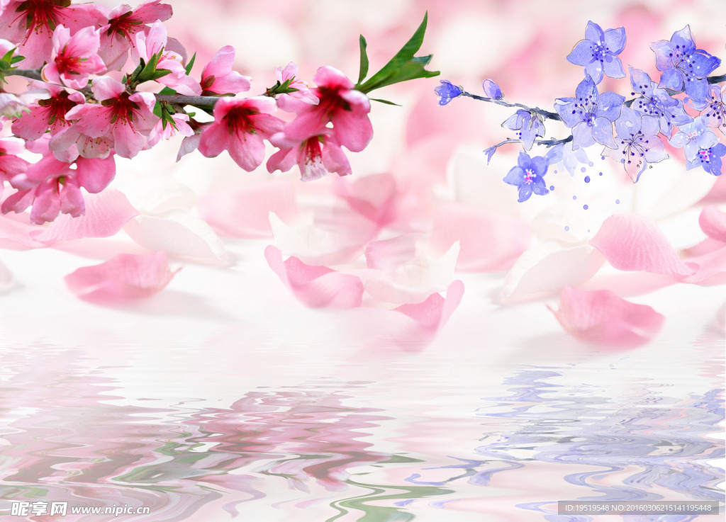水中花倒影