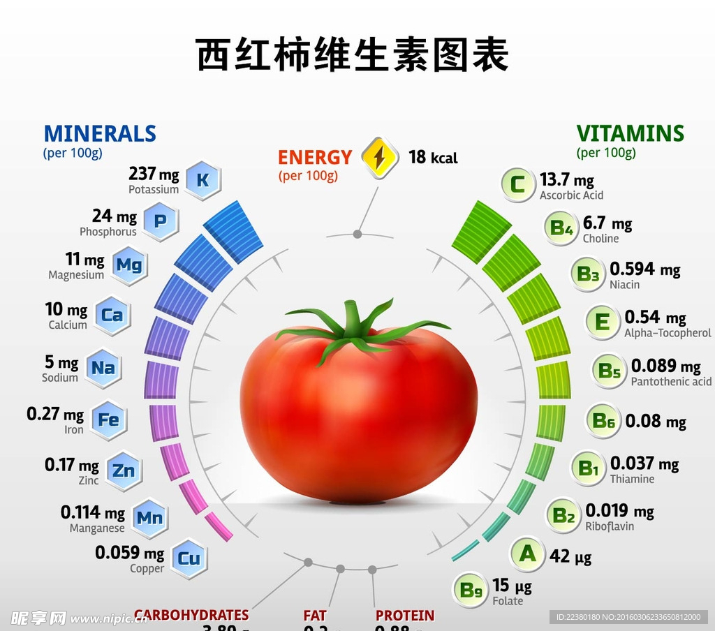 西红柿维生素图表