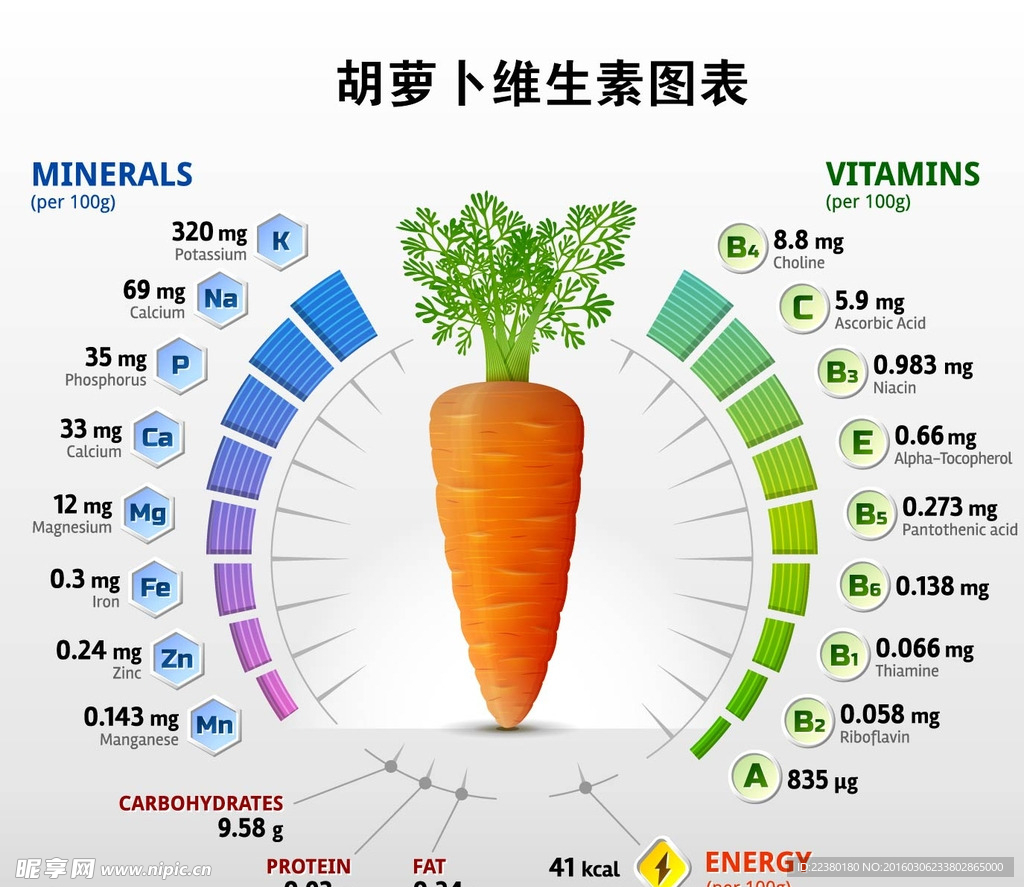 胡萝卜维生素图表