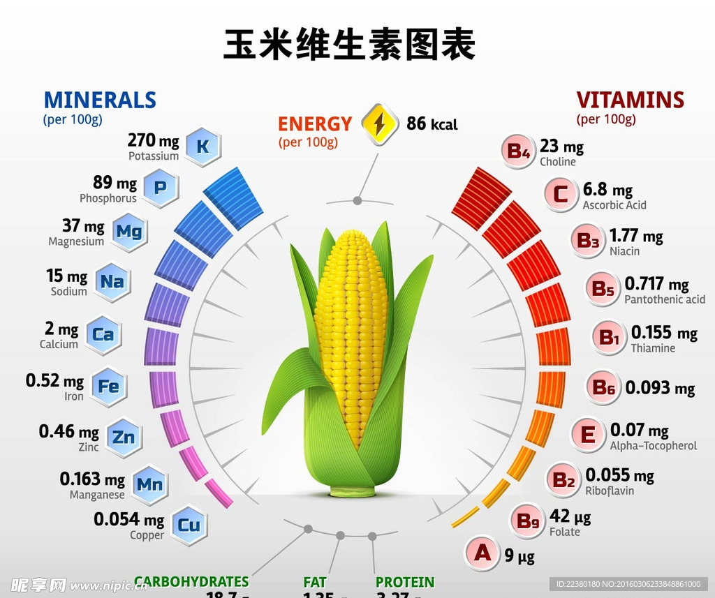 玉米维生素图表