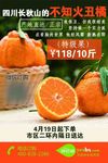 丑橘海报