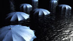 雨伞