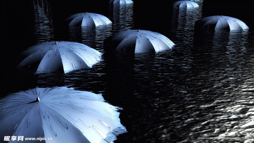 雨伞