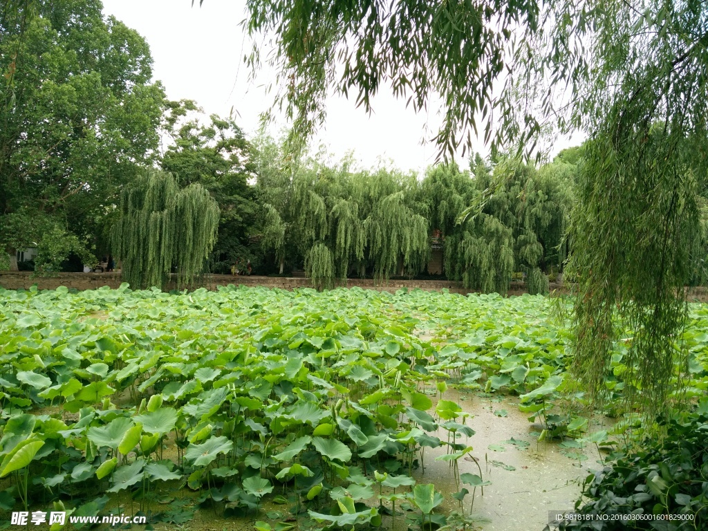 昆明翠湖