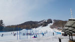 雪景