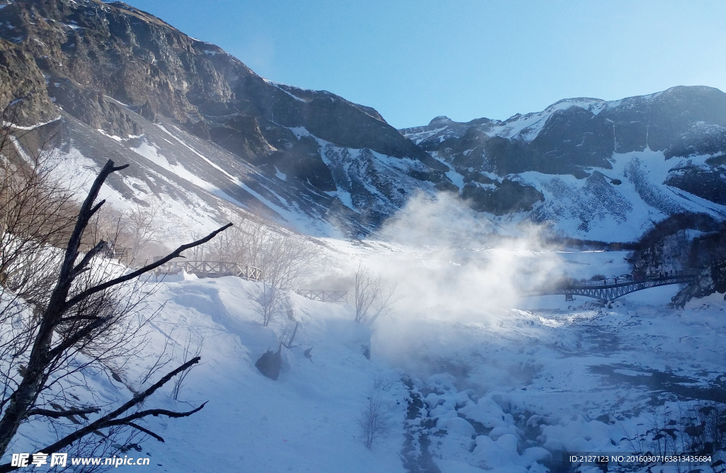 雪景