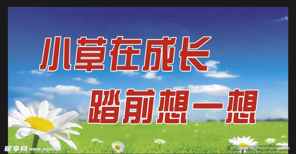 爱护花草