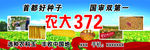 农丰玉米