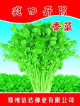 香菜包装