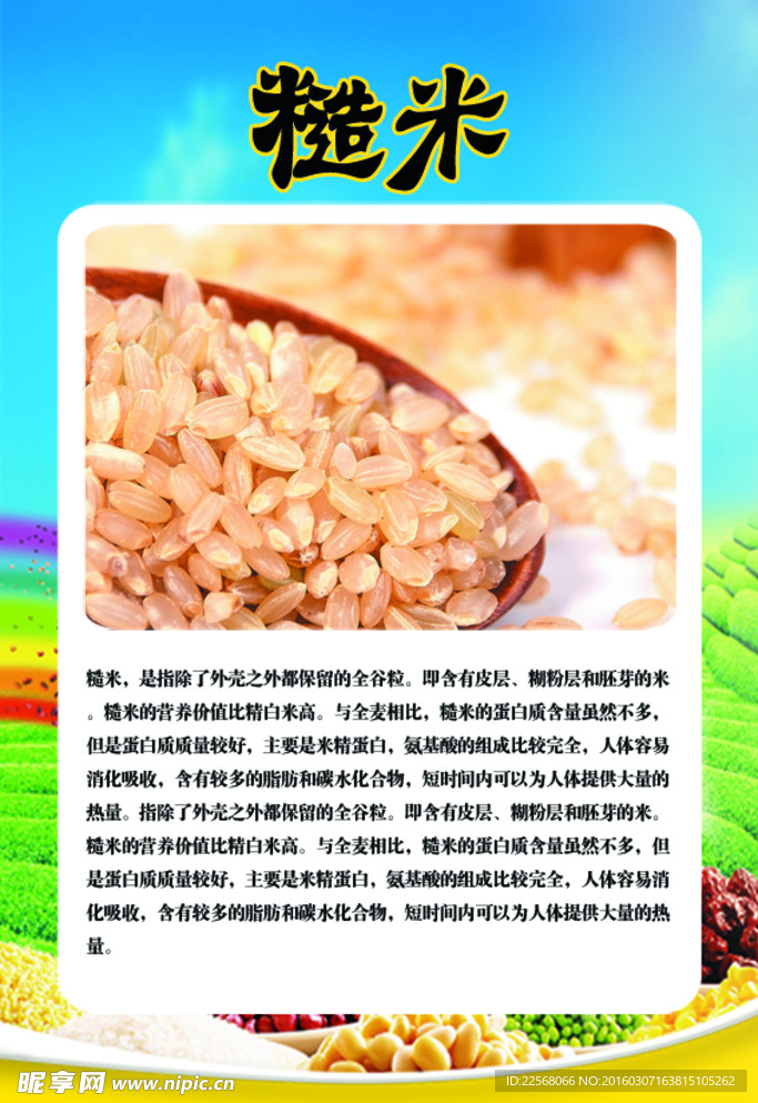 糙米简介
