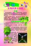 生物知识
