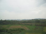农村