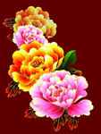 牡丹花