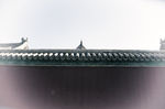 故宫