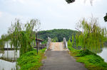 田园风光