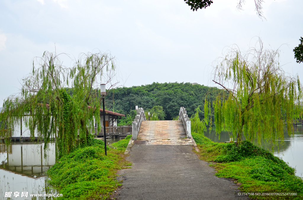 田园风光