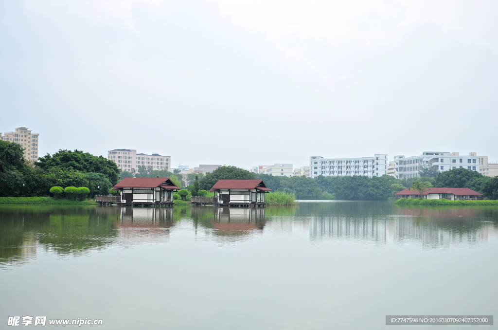 自然风景