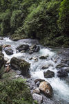 高山流水