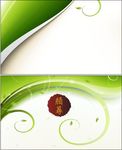 简单名片