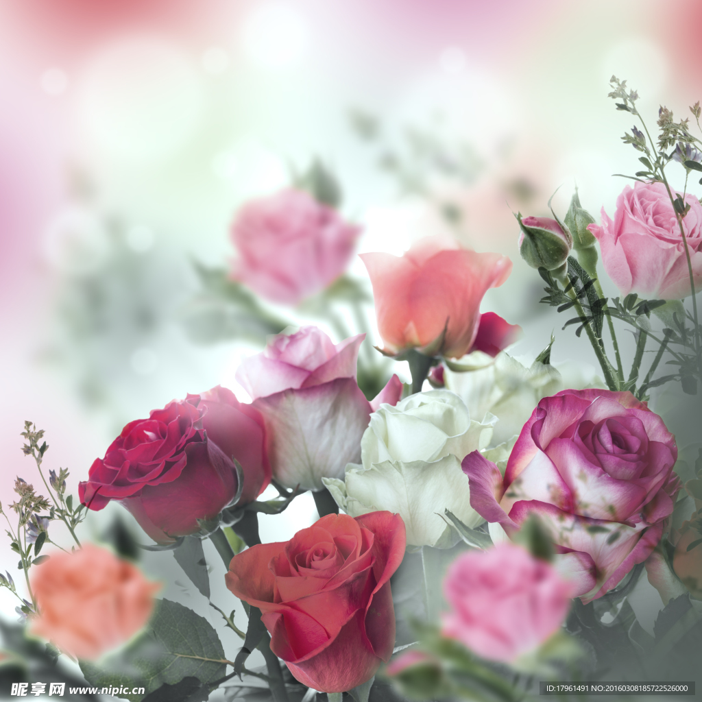 鲜花背景