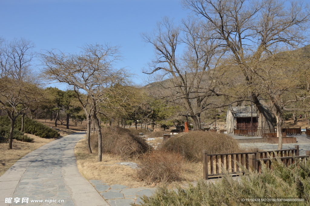 北京植物园