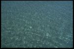 湖水