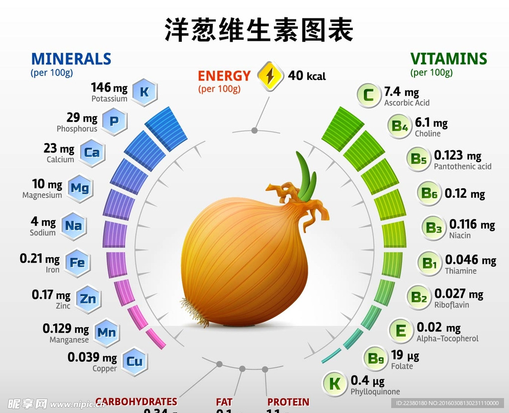 洋葱维生素图表