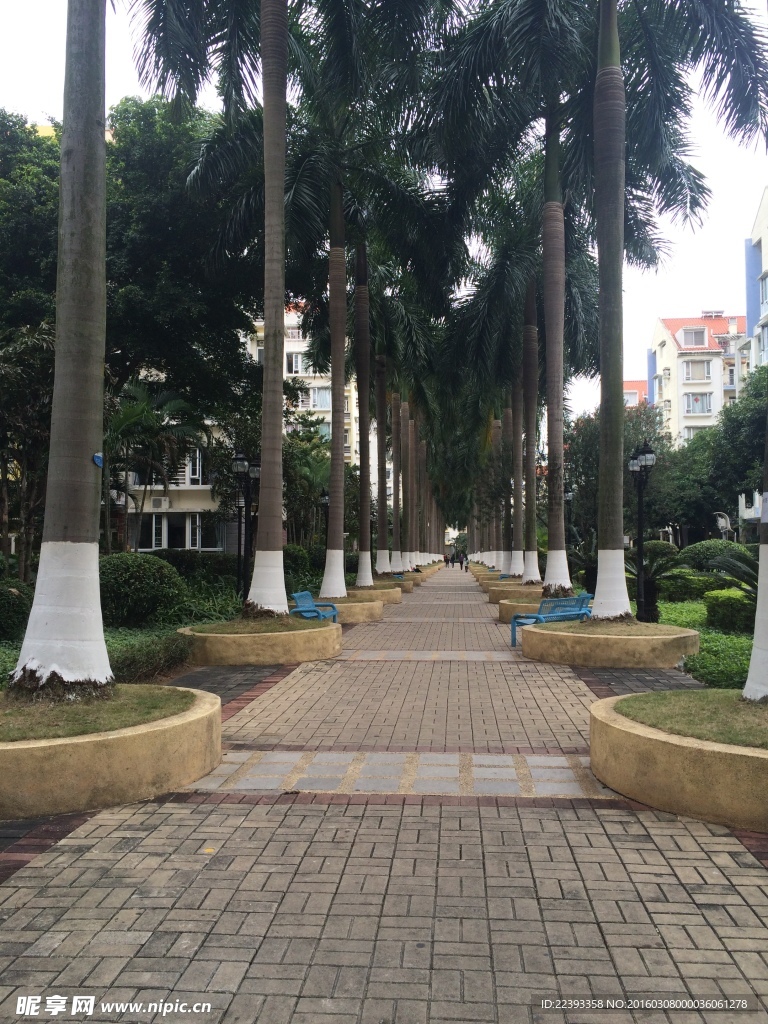 小区一角