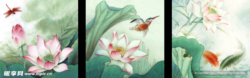 荷花