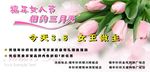 38妇女节