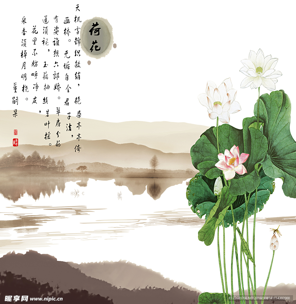 荷花