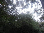 天门山森林公园