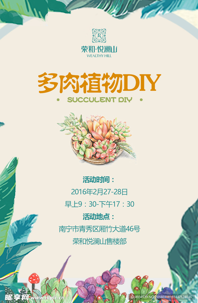 多肉绿色植物