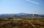 田野