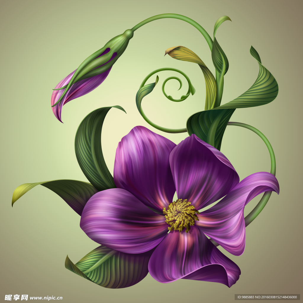 彩绘花卉