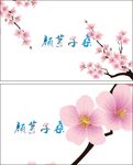 简单名片
